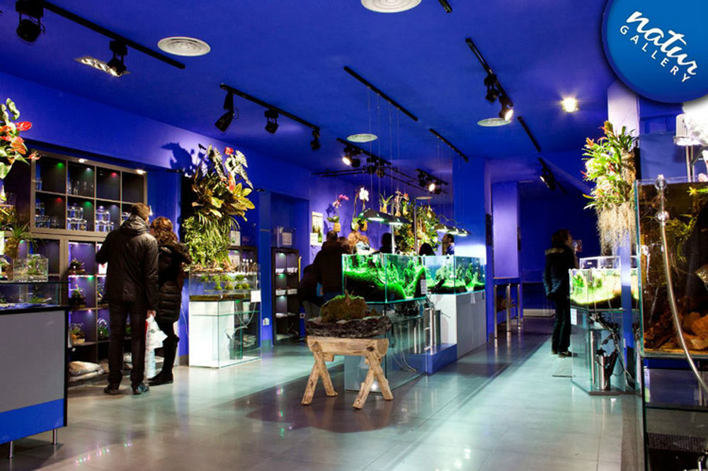 Tienda Natur Gallery de Barcelona