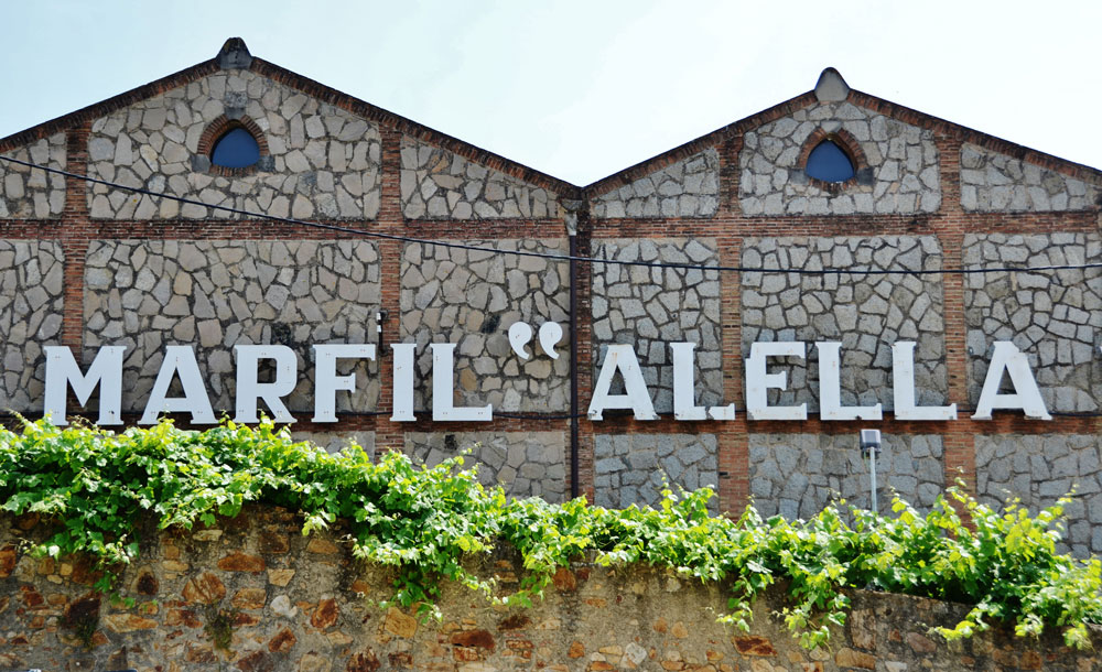 Projecte d'enginyeria per a una cooperativa vinicola